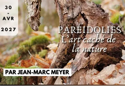 Expo-photo-8211-Pareidolies-l039art-cache-de-la-nature-8211-04-01-2027-8211-Cornimont_3868588