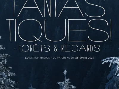 Expo-photos-8211-Fantastiques-Forets-et-Regards-8211-01-06-2025-8211-Xonrupt-Longemer_2646917