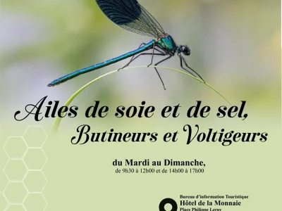 Exposition-8211-Ailes-de-soie-et-de-sel-butineurs-et-voltigeurs-8211-13-06-2026-8211-Vic-sur-Seille_3653409