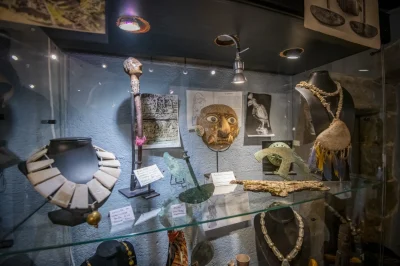Exposition-8211-Caraibes-8211-24-08-2025-8211-Limoges_3033913