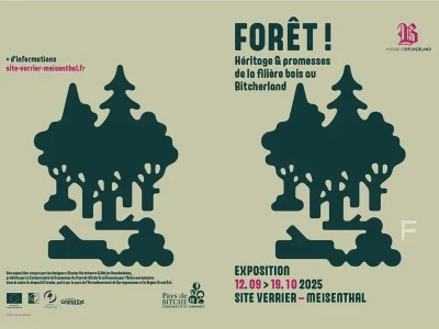 Exposition-8211-Foret-8211-12-09-2025-8211-Meisenthal_3076767