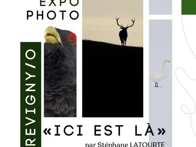 Exposition-8211-Ici-est-la-8211-08-03-2026-8211-Revigny-sur-Ornain_3539941