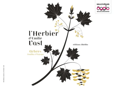 Exposition-8211-Les-herbiers-d039Emilie-Vast-8211-13-01-2026-8211-Nueil-les-Aubiers_3475515