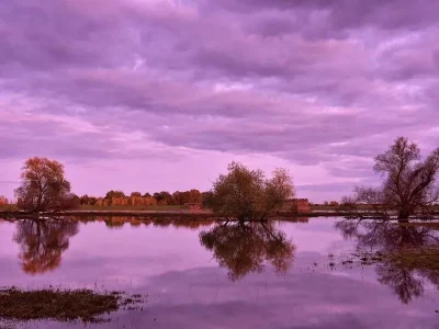 Exposition-8211-les-inondations-impacts-et-bonnes-pratiques-8211-04-02-2026-8211-Luneville_3413071