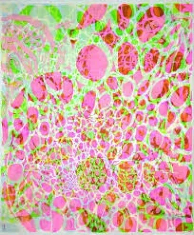 Exposition-ACHAO-8211-Galerie-l039App039Art-8211-08-12-2025-8211-Perigueux_2976004