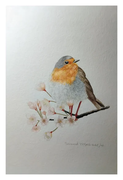 Exposition-Aquarelles-Animalieres-8211-Bernard-Teboul-8211-16-06-2025-8211-Dun-le-Palestel_2720616