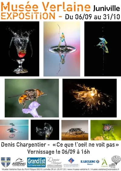 Exposition-Ce-que-l039oeil-ne-voit-pas-8211-06-09-2025-8211-Juniville_3175300
