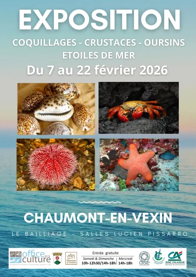 Exposition-Coquillages-Crustaces-Oursins-Etoiles-de-mer-8211-07-02-2026-8211-Chaumont-en-Vexin_3448983