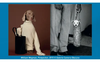 Exposition-Des-chiens-et-des-hommes-8211-20-06-2025-8211-Pau_2620860