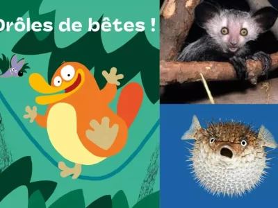 Exposition-Droles-de-betes-8211-13-12-2025-8211-Tours_3465633
