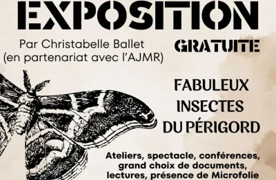 Exposition-Fabuleux-insectes-du-Perigord-8211-30-04-2026-8211-Lalinde_3486011