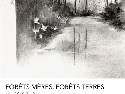 Exposition-Foret-meres-forets-terres-8211-27-10-2025-8211-Blenod-les-Toul_3251077