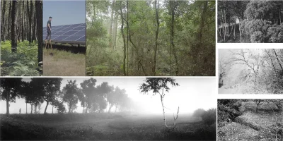 Exposition-Forets-8211-11-09-2025-8211-Langon_3051290