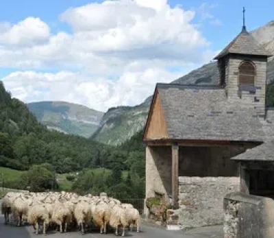 Exposition-Le-hameau-de-Gabas-8211-25-07-2025-8211-Laruns_2720707