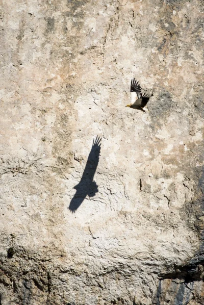 Exposition-Les-Alpilles-par-nature-8211-01-10-2025-8211-Les-Baux-de-Provence_3178730