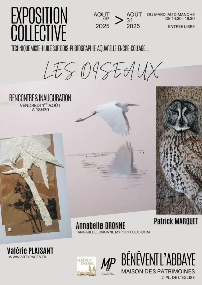 Exposition-Les-Oiseaux-8211-24-08-2025-8211-Benevent-l039Abbaye_2973436