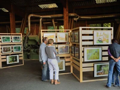 Exposition-Photo039folies-8211-14-09-2025-8211-Dambach_2726667