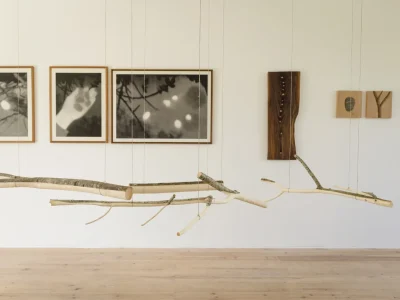 Exposition-Retour-aux-sources-8211-24-05-2025-8211-Sauveterre-de-Bearn_2671969