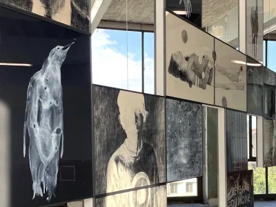 Exposition-SOMNIUM-8211-Luc-Doerflinger-8211-20-09-2025-8211-Epinal_2915834