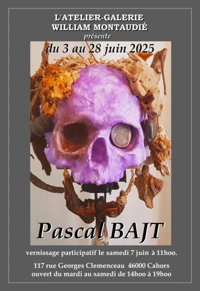 Exposition-a-l039atelier-galerie-William-Montaudie-Pascal-Bajt-8211-03-06-2025-8211-Cahors_2717725