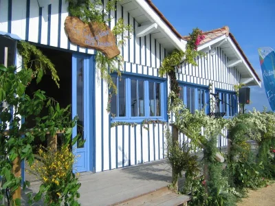 Exposition-a-la-Cabane-Bleue-Artuel-collectif-de-peintres-8211-12-09-2026-8211-Audenge_3820319