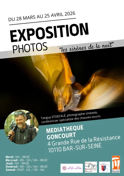 Exposition-ampamp-projection-–-A-la-decouverte-des-chauves-souris-a-Bar-sur-Seine-8211-29-03-2026-8211-Bar-sur-Seine_3487428
