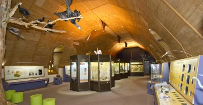 Exposition-au-museum-d039histoire-naturelle-de-Blois-8211-04-07-2026-8211-Blois_3465602