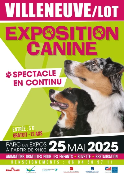 Exposition-canine-8211-25-05-2025-8211-Villeneuve-sur-Lot_2612153