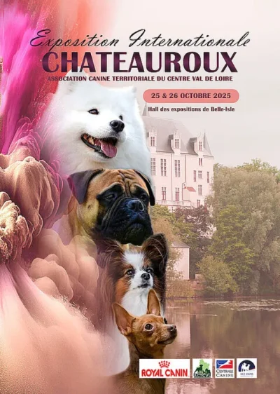 Exposition-canine-internationale-8211-25-10-2025-8211-Chateauroux_3140616