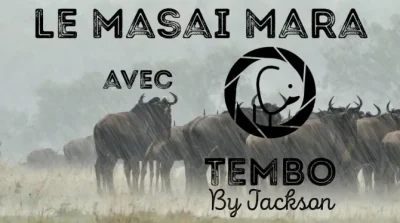 Exposition-conference-Le-Masai-Mara-8211-05-10-2025-8211-Perrusson_2717162