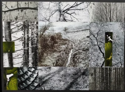 Exposition-d039Art-Contemporain-quotSkopiesquot-a-l039Espace-21-8211-07-02-2026-8211-Cales_3466110