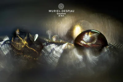 Exposition-de-Photographies-de-Muriel-Despiau-8211-13-03-2025-8211-Marseille-8e-Arrondissement_2299848