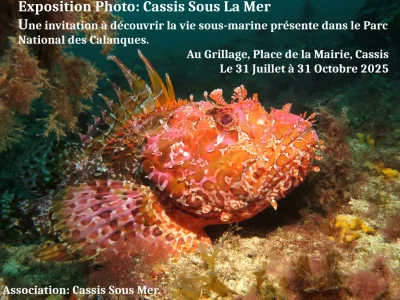 Exposition-de-photographies-de-Natasha-Gaudin-sur-les-grilles-de-la-Place-Baragnon-8211-quotCassis-sous-la-merquot-8211-31-07-2025-8211-Cassis_2997190