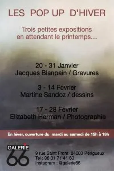 Exposition-des-oeuvres-de-Martine-Sandoz-8211-03-02-2026-8211-Perigueux_3471661