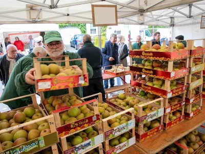 Exposition-fruitiere-8211-05-10-2025-8211-Thionville_3122847