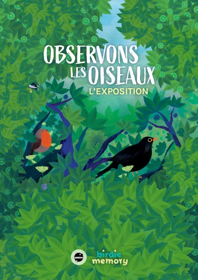 Exposition-interactive-observons-les-oiseaux-8211-20-05-2025-8211-Loches_2477190