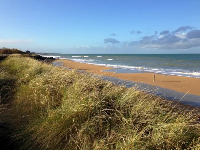 Exposition-la-plage-une-nature-cachee-8211-12-04-2025-8211-Saint-Aubin-sur-Mer_2470359