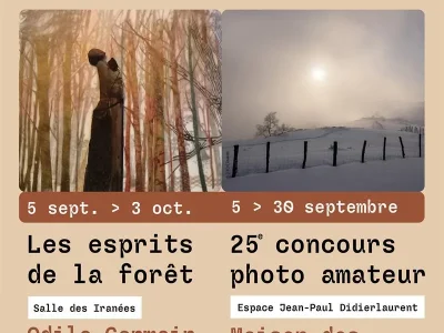 Exposition-les-esprits-de-la-foret-8211-05-09-2026-8211-La-Bresse_3837561