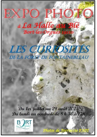 Exposition-photo-quotLes-curiosites-de-la-foret-de-Fontainebleauquot-8211-01-07-2025-8211-Bort-les-Orgues_2980084