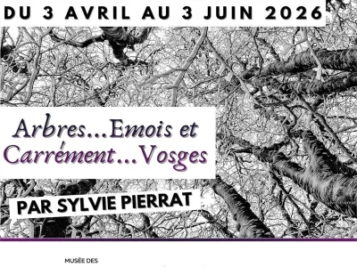 Exposition-photographique-8211-Arbres8230Emois-et-Carrement8230Vosges-8211-03-04-2026-8211-Cornimont_3619922