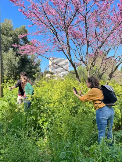 Exposition-photographique-City-Nature-Challenge-8211-25-04-2025-8211-Marseille-4e-Arrondissement_2459469
