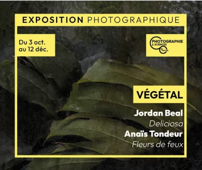 Exposition-photographique-de-La-Villa-Perochon-a-Niort-8211-03-10-2026-8211-Niort_3862212