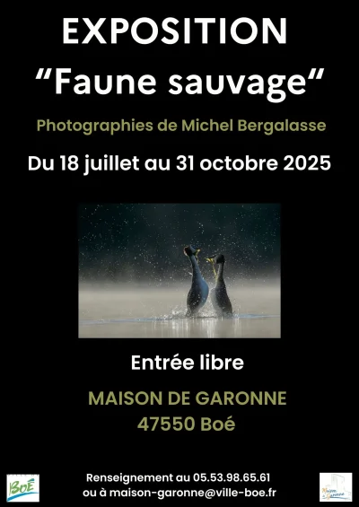 Exposition-photographique-quotFaune-sauvagequot-8211-18-07-2025-8211-Boe_2975515