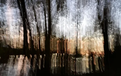 Exposition-photos-de-Mme-Dutey-Valerie.-Theme-abstrait-mer-nature-transformation-du-reel-8211-01-07-2025-8211-Saint-Jean-Pied-de-Port_2370987