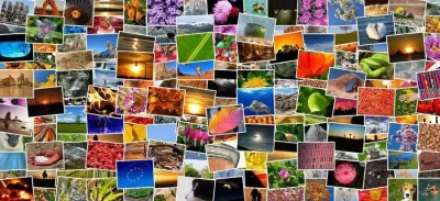 Exposition-photos-en-plein-air-8211-01-07-2025-8211-Rupt-sur-Moselle_2788894