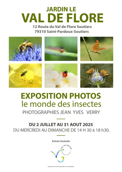 Exposition-photos-quotLe-monde-des-insectesquot-8211-02-07-2025-8211-Saint-Pardoux-Soutiers_2939039