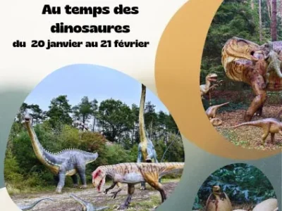 Exposition-quotAu-temps-des-dinausauresquot-8211-20-01-2026-8211-Tournon-Saint-Martin_3464934