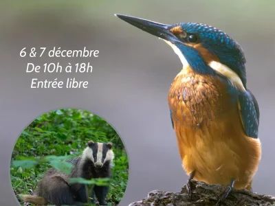 Exposition-quotEntre-ciel-et-terrequot-8211-06-12-2025-8211-Roussy-le-Village_3291269