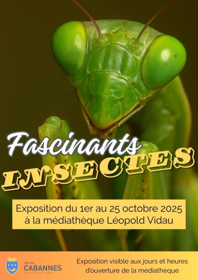Exposition-quotFascinants-Insectesquot-8211-01-10-2025-8211-Cabannes_3179034