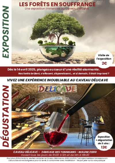 Exposition-quotLES-FORETS-EN-SOUFFRANCEquot-amp-Degustation-de-vins-8211-14-04-2025-8211-Beaune_2467941